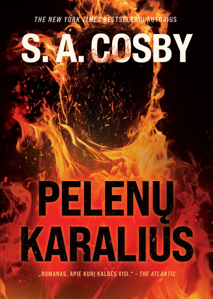 Pelenų karalius