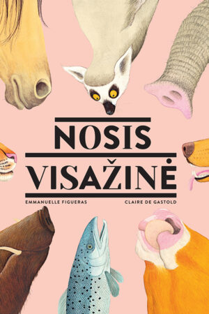 Nosis visažinė